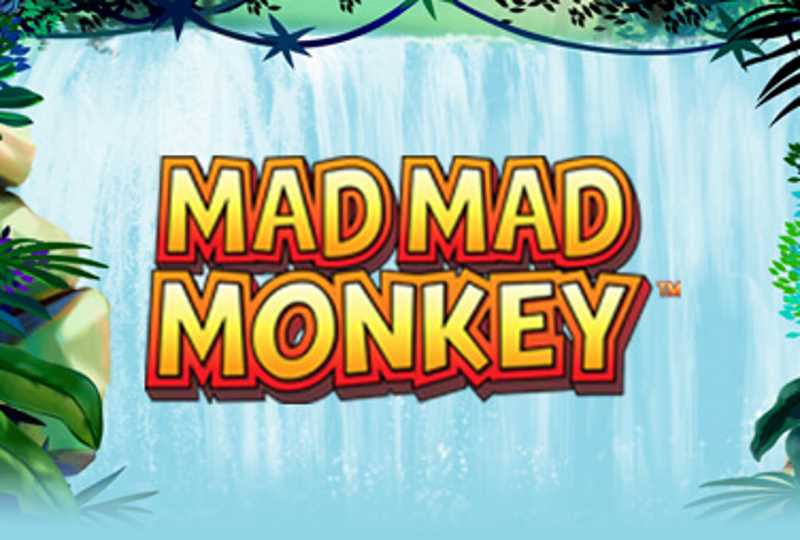Mad Mad Monkey Slot Banner
